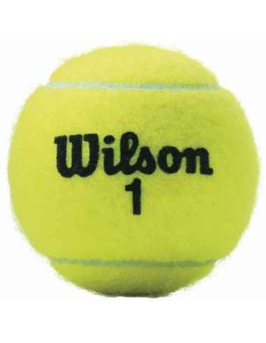 PIŁKI TENIS ZIEMNY WILSON CHAMPIONSHIP EXTRA DUTY KPL.3 SZT